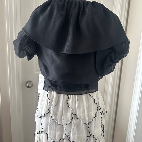 Frascara Silk long gown - Picture 6 of 10